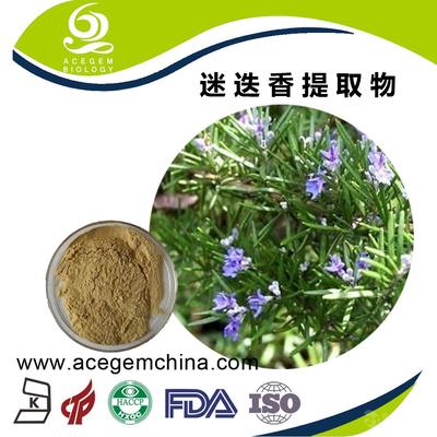 專業迷迭香提取物 中國蕪湖艾森格，天然香料的卓越之選