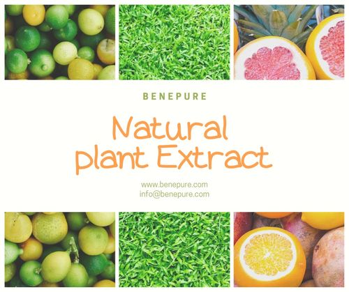 植物提取物與天然香料對功能飲料的八大影響