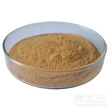 天然香料新寵 蒼耳子提取物的市場(chǎng)魅力與熱銷解析